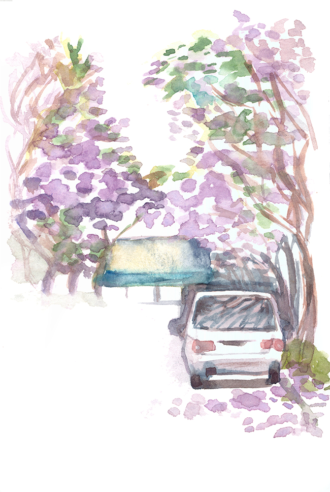 Shiho Nakaza jacaranda flower sketch watercolor "Los Angeles" "Santa Monica"